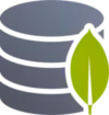 MongoDB